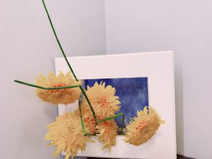 IMG_5101
